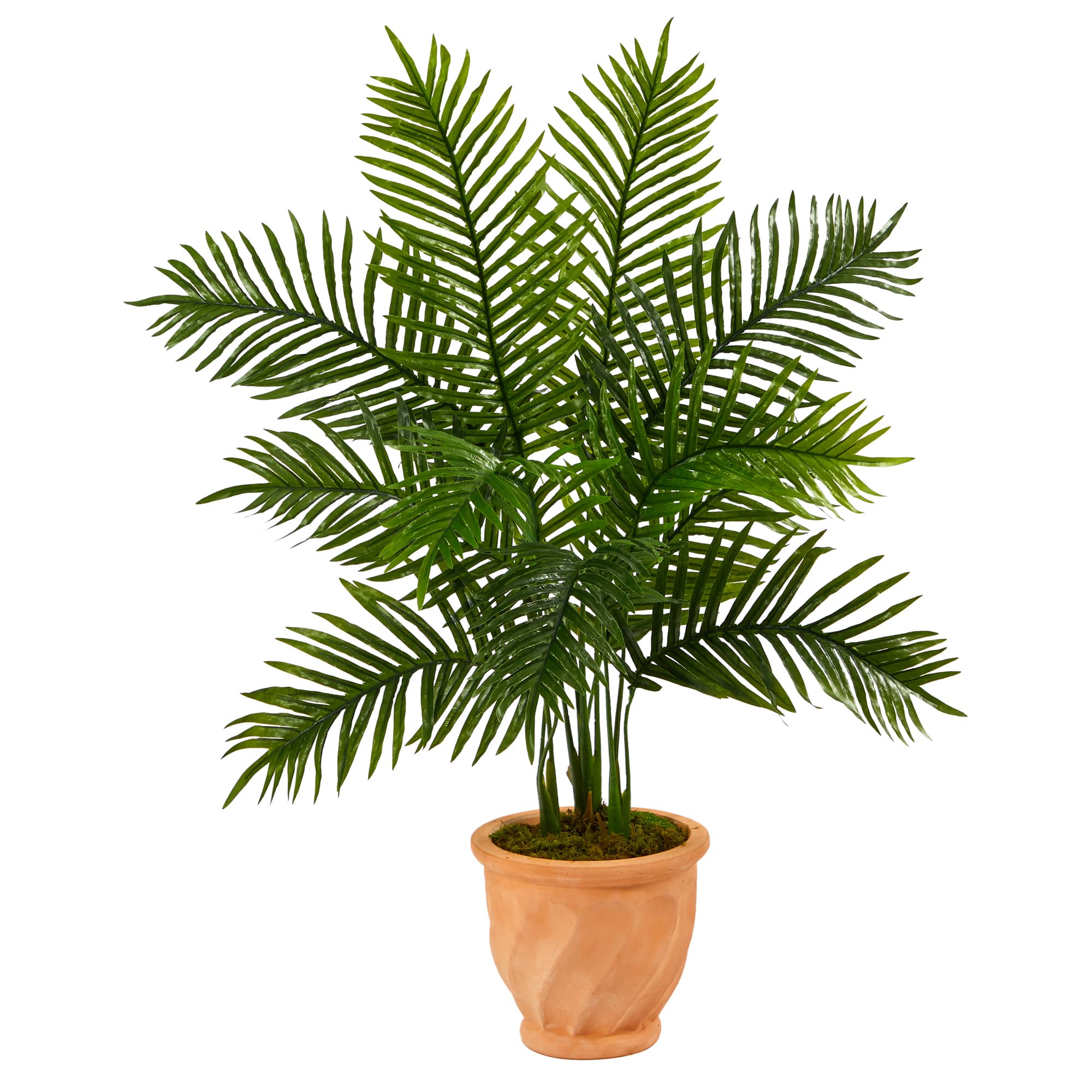 45" Areca Palm Tree in Terra Cotta Planter